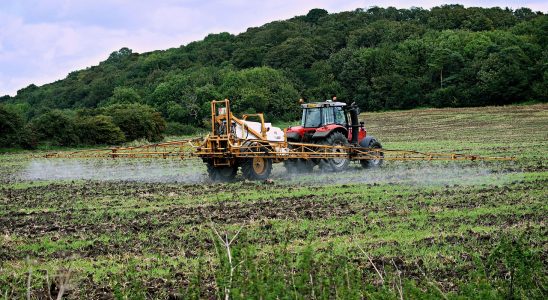 Aplicarea pesticidelor